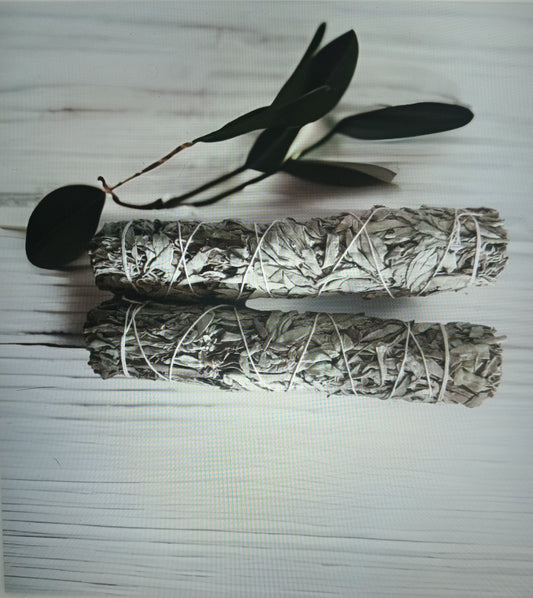 9in Sage Sticks